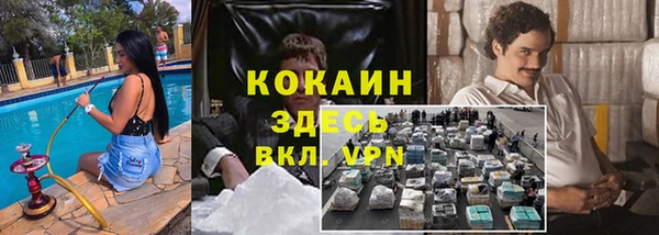 крисы Белоозёрский