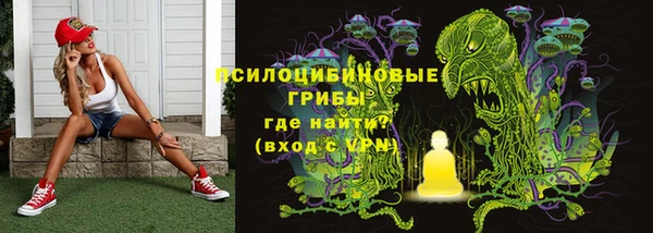 крисы Белоозёрский