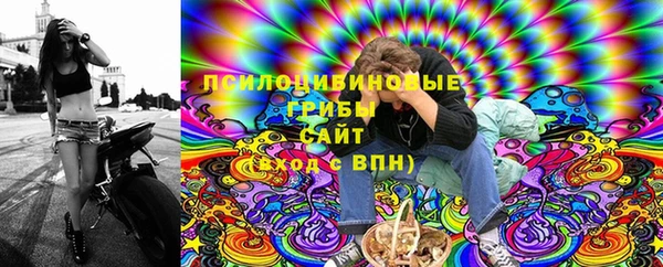 крисы Белоозёрский