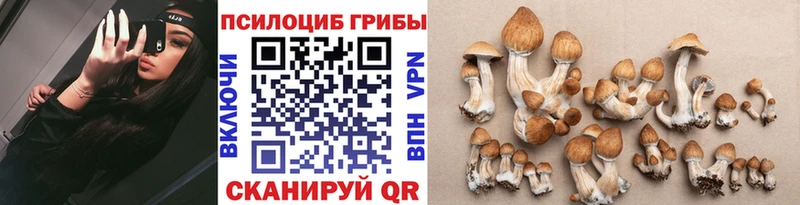 Псилоцибиновые грибы ЛСД  omg рабочий сайт  Чулым 